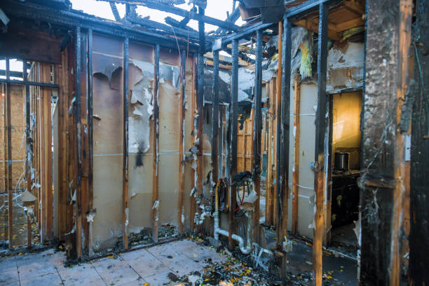 Professional Odor Removal technician working in Culver, IN